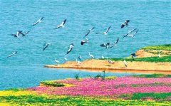 清除保护伞 还洞庭清波 湖南推进“打伞破网”长效常治