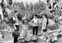 把点滴小事办成实事好事