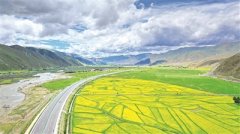 心手相牵 共筑雪域高原中国梦 以习近平同志为核心的党中央关心西藏发展纪实