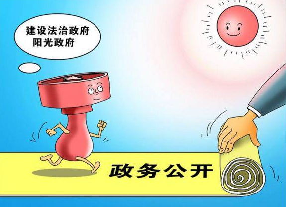 推动监察工作规范化法治化正规化