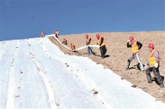 立案查处15人 其中省管干部4人 木里矿区以案促改重塑生态