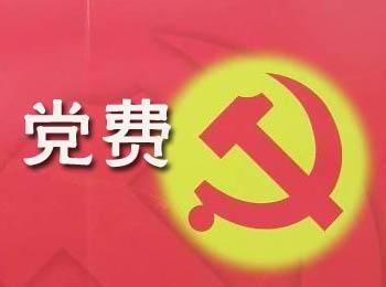 代交的党费