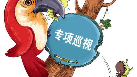 国家粮食局:完成对18家单位专项巡视