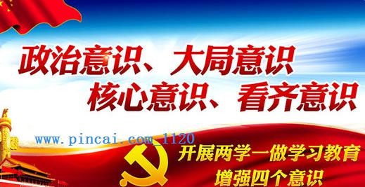 代表和专家热议  推进党的建设，更好履行新时代历史使命