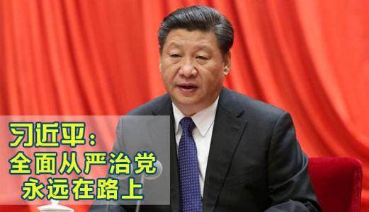 把全面从严治党引向深入