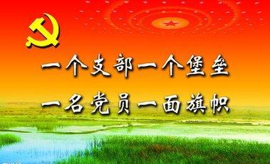 建强战斗堡垒，让乡村振兴动力澎湃