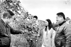 站位要更高 落点要更准 方式要更活 自身要更硬 聚焦“两个维护” 强化政治监督