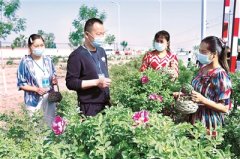 新疆推进重点村提级监督 直查直办微腐败