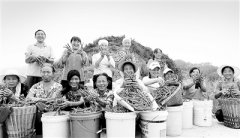 易地搬迁不落监督