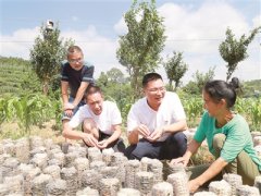 贵州做实过渡期专项监督巩固脱贫成果 攻下来更要守得住