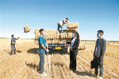 将“探头”校准擦亮