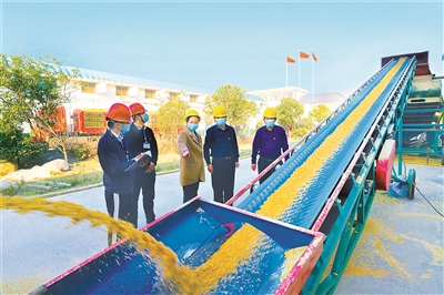 守住管好大国粮仓