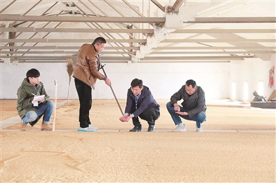 严查粮仓“硕鼠”