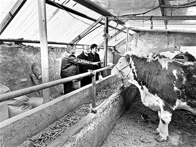 聚焦铸牢中华民族共同体意识强化监督