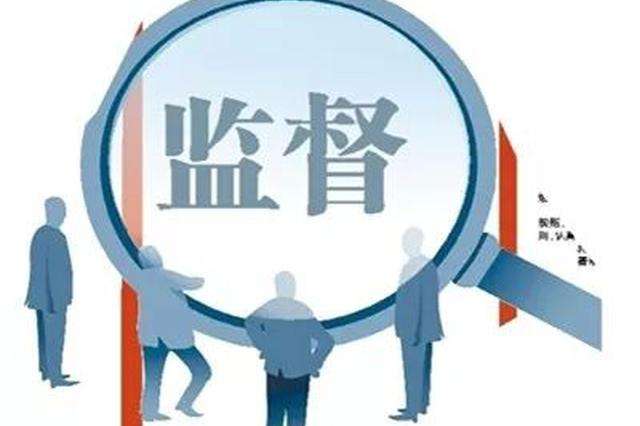 围绕党中央决策部署强化政治监督