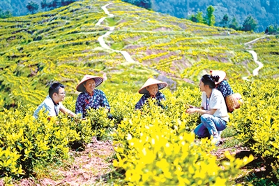 织密廉洁亚运监督网