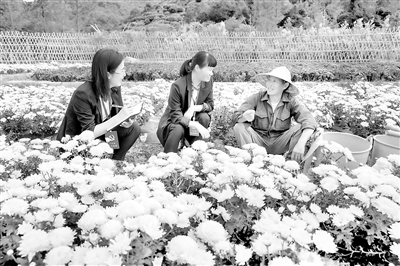 浙江以高质量监督保障共同富裕示范区高质量推进