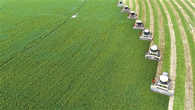 甘肃农垦清除腐败“污染源”修复政治生态