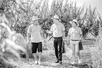 贯通协同做实涉农资金项目监督