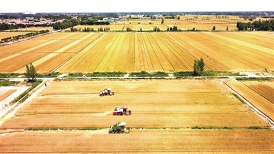 坚定做好自己的事